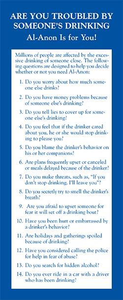 Troubled by Someone’s Drinking? (20 Questions) (S-17)